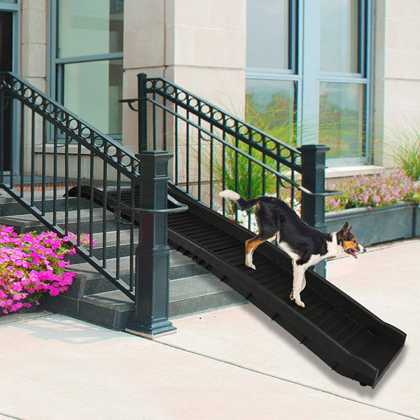 Dog ramp for full flight hot sale of stairs